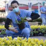 picture of medical professional in scrubs and mask planting flowers